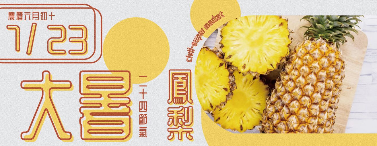 
                        24節氣夏至